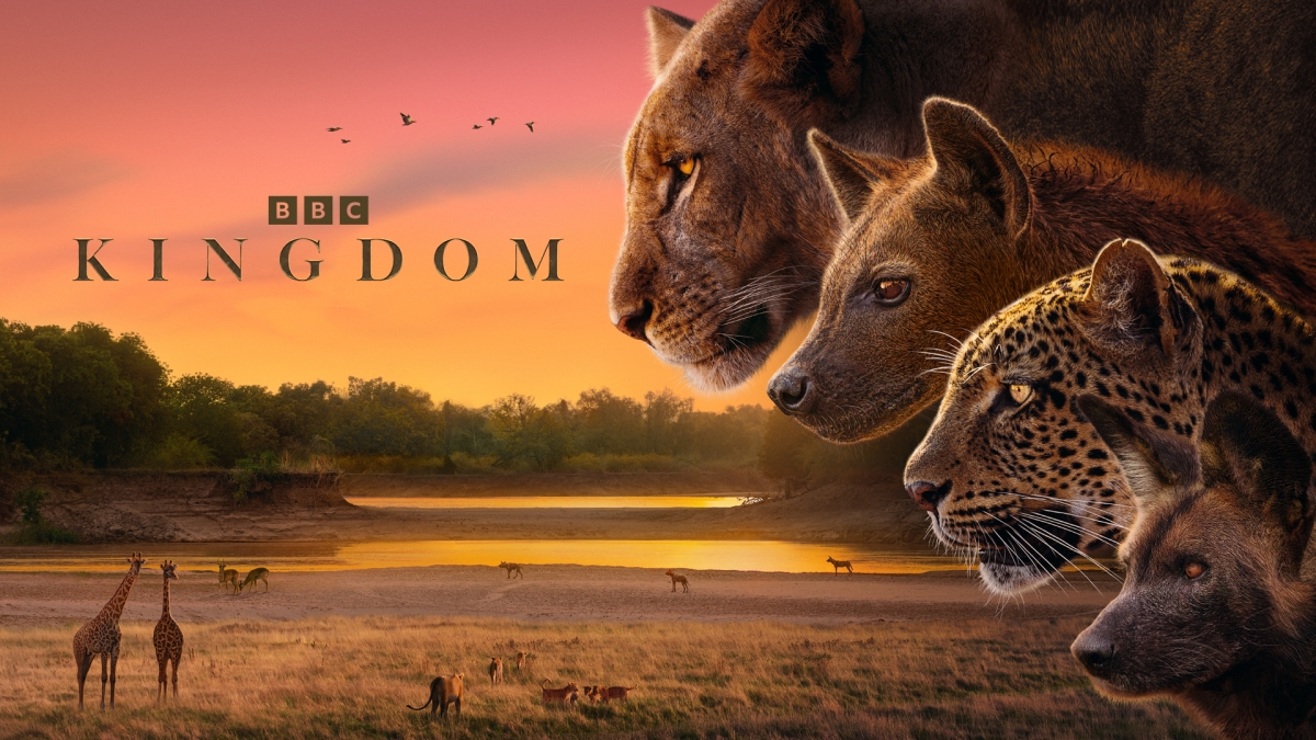 Segun Scores BBC NHU Series &#039;Kingdom&#039;